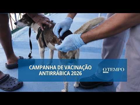 Ação ocorreu neste sábado (15/8), em diferentes pontos do município; iniciativa continua nos próximos fins de semana