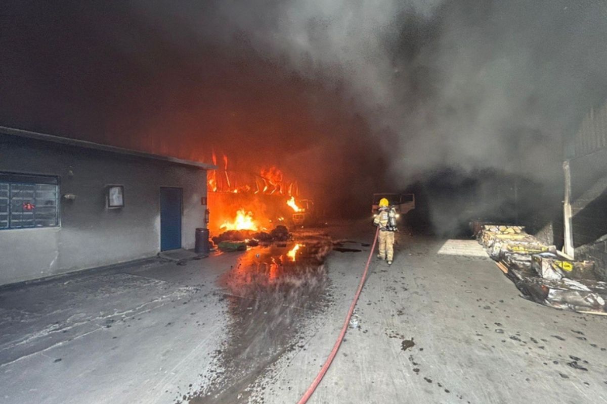Quatro equipes dos bombeiros atuaram diretamente no combate, com o apoio de uma Auto Jamanta, viatura responsável pelo reabastecimento de água