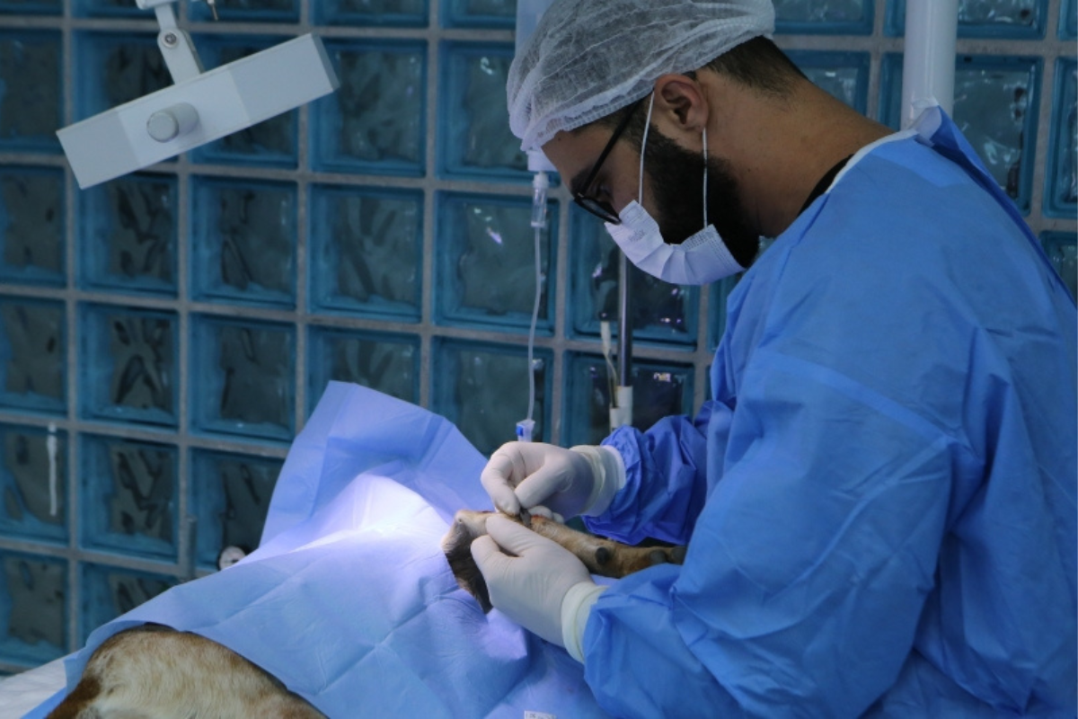 Serão realizados 50 atendimentos por dia na unidade móvel