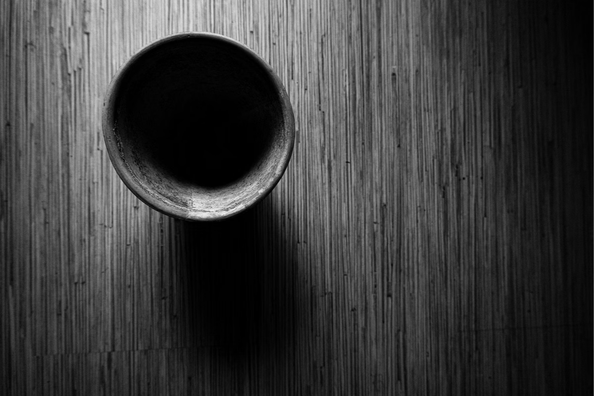 A humanidade precisa seguir sem se extinguir