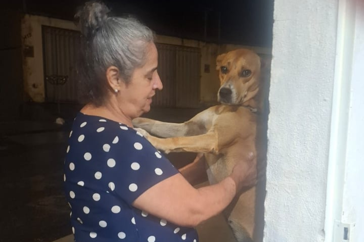 Ao voltar do hospital para casa, a protetora de animais Silmary foi recebida com um grande abraço do amigão de quatro patas Caramelo 
